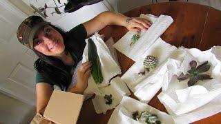 UNBOXING NEW Succulent Plants from my AMAZING Friend Laura