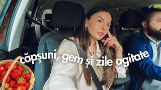 VLOG | Culegem căpșuni, gem la Thermomix și ce am învățat de când fac vloguri | Zile agitate