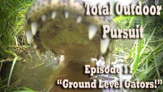 Gator Hunting Florida Swamps Ground Level for big Alligators! Total Outdoor Pursuit Episode 11