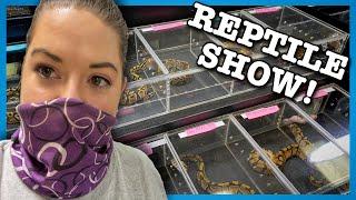 NEW PICKUPS! | July 2020 All Maryland Reptile Show|Ball Python Breeder