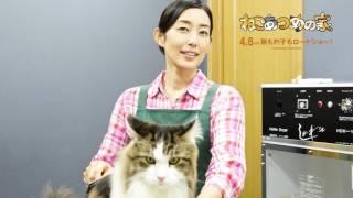 『ねこあつめの家』忽那汐里&木村多江インタビュー動画