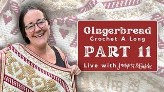 Crochet with me! Mosaic Gingerbread Blanket Crochetalong Part 11