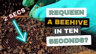 How To Requeen A Beehive in 10 Seconds!