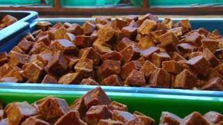 Production of Quality Cane Jaggery - Udawalawe, Sri Lanka