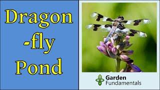 Dragonfly Pond Design  Which Design Attracts Dragonflies the Best?