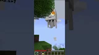 MInecraft's Pigeons #Shorts