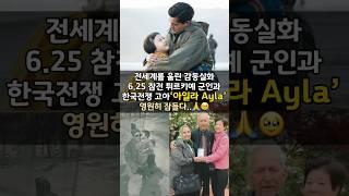 눈물의 감동영화 아일라 Ayla,그녀를 기억해주세요…