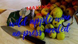 wild appple wine recipe no press needed