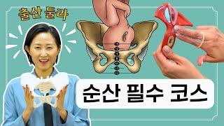 제에발 순산 하고 싶은 임산부를 위한 순산 필수 코스