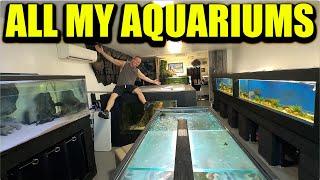 EVERY AQUARIUM TOUR!! The king of DIY's fish tanks