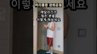 허리디스크는 무조건 이 운동 하나면 좋아집니다. #shorts #허리통증 #허리디스크 #허리통증운동