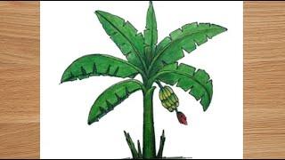 How to draw Banana tree step by step | tree drawing easy for beginners | #artsbyrihamaryam