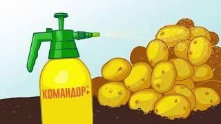 Средство от колорадского жука Командор (ТВ)