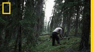 The Nature Purist | Life Below Zero