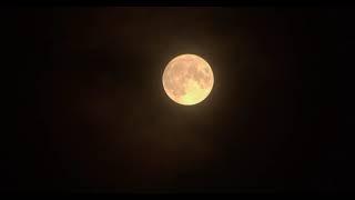 Shanti Monti 2021 03 full moon