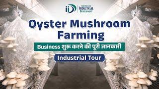 Oyster Mushroom Farming Business | Oyster Mushroom Cultivation | Business Idea |