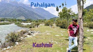 Pahalgam (Kashmir)- Aru Valley, Chandanawari, Betaab Valley- Kashmir Trip 2023 #pahalgam #kashmir