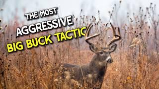 You should have this aggressive BIG BUCK tactic in your pack pocket...