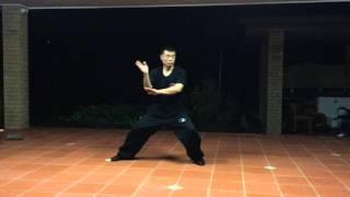 Master Su's Private Tai Chi Lesson - Demo 02