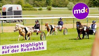 KLEINES Highlight auf der Rennbahn | Magdeburg News