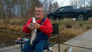 Catching lots of cat fish at the pond today