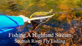 Fishing A Highland Stream. Scottish River Fly Fishing For Trout