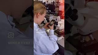 #Биология прекрасна  #микробиология #практикум #биофак
