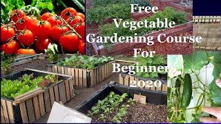 Free Vegetable Gardening Course For Beginners 2020