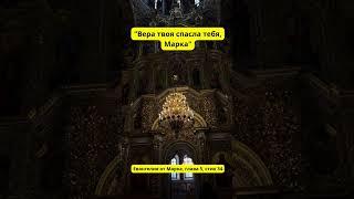 "Вера твоя спасла тебя, Марка" - это фраза, взятая из Евангелия от Марка, глава 5, стих 34.