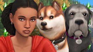  WHY DID SHE RUN AWAY? | The Sims 4 Create A Sim