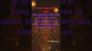 Tĩnh Tâm Giữa Đời #giacngo #phatphap #loiphatday