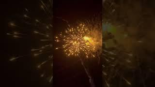 Halen 64 shot firework 