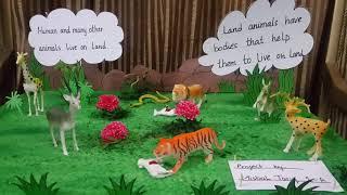 Land animal school project