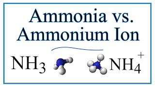 Ammonia vs the Ammonium Ion (NH3 vs NH4 +)