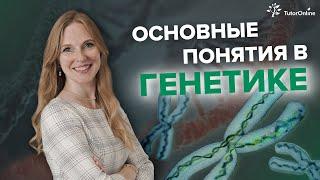 Основы генетики. Что такое ген, аллельные гены, генотип, фенотип, кариотип? | Биология | TutorOnline