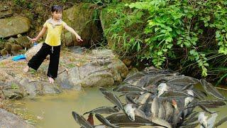 The poor orphan girl went to catch big fish in the stream where the flood water was overflowing