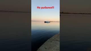 #рыбалка #рыба подписывайтесь на канал, здесь много интересных видео про рыбалку и многое другое.
