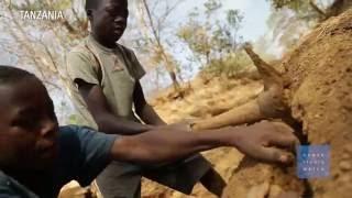 Global Profits from Dangerous Child Labor