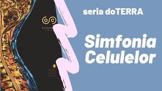 Simfonia Celulelor - ce este si cum se face.