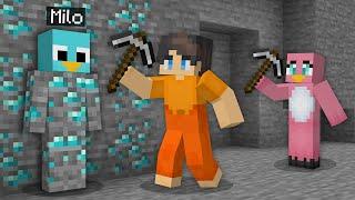 I Pranked My Friends as a Diamond in Minecraft!