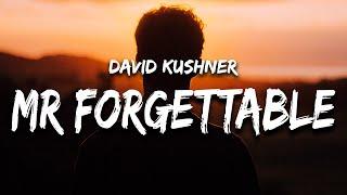 David Kushner - Mr. Forgettable (Lyrics) "hello hello are you lonely"