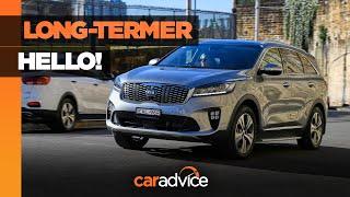 2019 Kia Sorento long-term review introduction | Family SUV test | CarAdvice