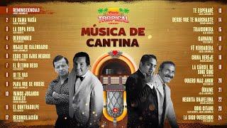 Lo Mejor De La Música Popular, Música De Cantina