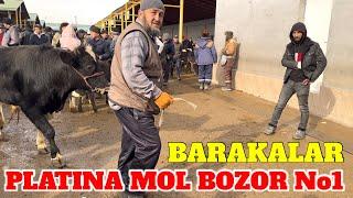 PLATINA MOL BOZOR BARAKALAR NARXLARI YEB QO'YGAN VA YEDIRGANLA  MANA SHUNAQA TAMOSHA QILING