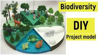 Biodiversity project model | Biodiversity and conservation | Importance of biodiversity