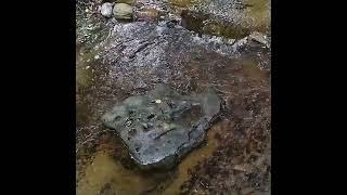 #Shorts Medicine Creek Rock at Off Grid Cabin & Quiet Adventures