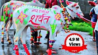 | Bail Pola Festival Best Video 2024 | | बैल पोळा सजावट |