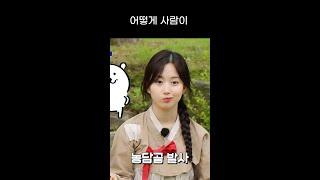 농담곰