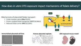 BS8  Julian Gilmore Interaction Between the Integrase Strand Transfer Inhibitor Dolutegravir and Fol