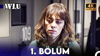 Avlu 1. Bölüm (4K)